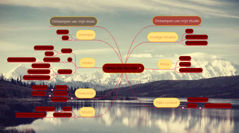 Mind Map: Tobias Van Der Mei