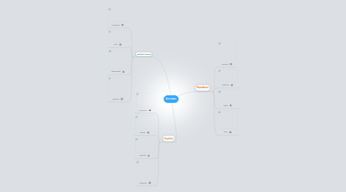 Mind Map: Animales