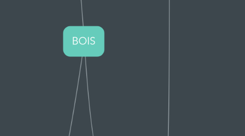 Mind Map: BOIS