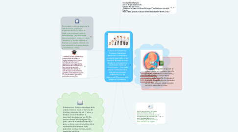 Mind Map: Etapas del Desarrollo Humano: Llamamos desarrollo humano a la evolución que sufre el ser humano durante su vida desde su concepción y nacimiento hasta su fallecimiento. ... Las siete etapas o periodos de la vida del ser humano ordenadas son las siguientes: Etapa prenatal. Etapa de La Infancia