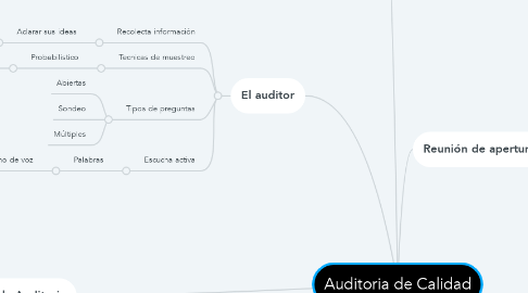 Mind Map: Auditoria de Calidad