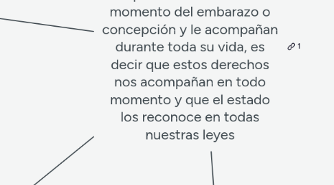 Mind Map: Los Derechos Humanos son valores que tiene toda que le pertenecen desde el momento del embarazo o concepción y le acompañan durante toda su vida, es decir que estos derechos nos acompañan en todo momento y que el estado los reconoce en todas nuestras leyes