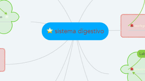 Mind Map: sistema digestivo