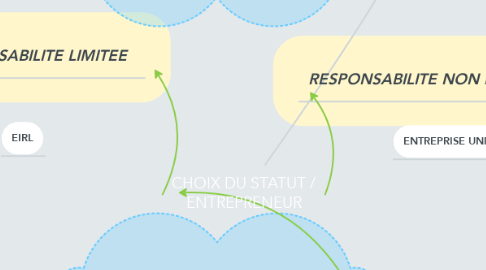 Mind Map: CHOIX DU STATUT / ENTREPRENEUR