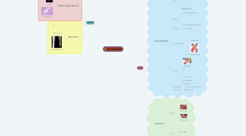 Mind Map: INFLAMMATION