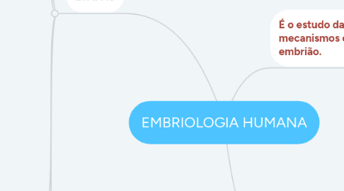 Mind Map: EMBRIOLOGIA HUMANA