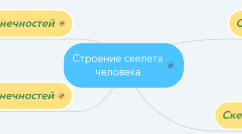 Mind Map: Строение скелета человека