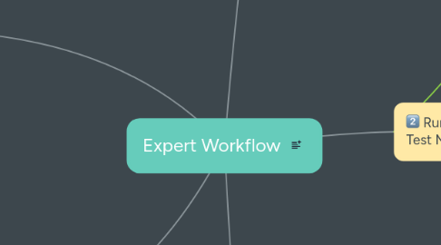 Mind Map: Expert Workflow