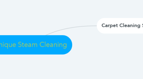 Mind Map: Unique Steam Cleaning