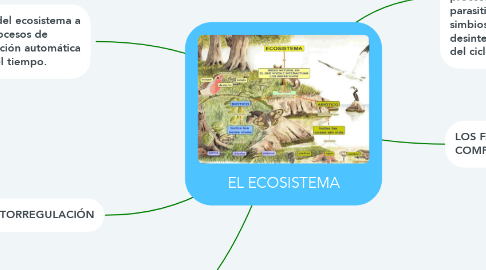 Mind Map: EL ECOSISTEMA