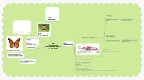 Mind Map: Тип Членистоногие самый многочисленный (2/3 всех видов)