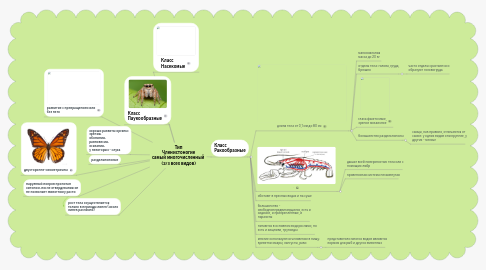 Mind Map: Тип Членистоногие самый многочисленный  (2/3 всех видов)