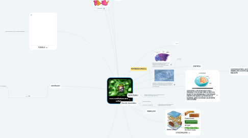 Mind Map: cosa costituisce una cellula