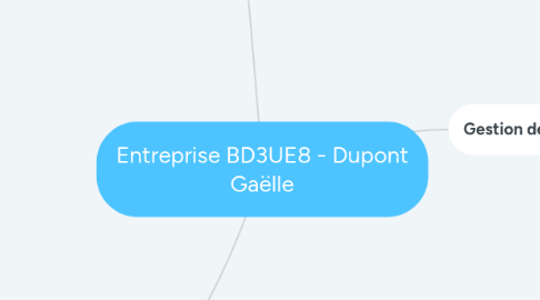 Mind Map: Entreprise BD3UE8 - Dupont Gaëlle