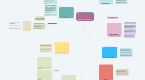 Mind Map: SEGURO DE MERCANCÍAS