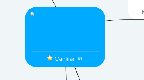 Mind Map: Canlılar