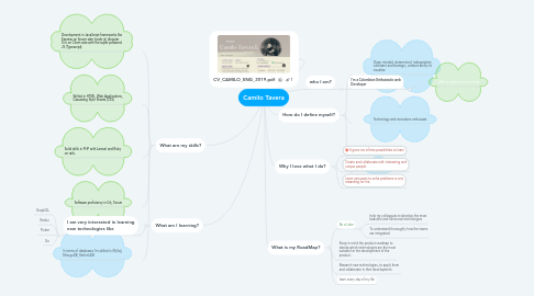 Mind Map: Camilo Tavera
