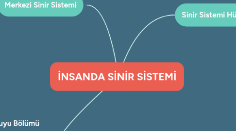 Mind Map: İNSANDA SİNİR SİSTEMİ