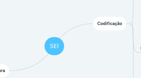 Mind Map: SEI