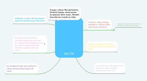 Mind Map: KALITIM