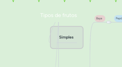 Mind Map: Tipos de frutos