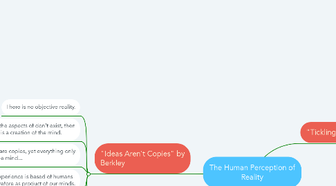 Mind Map: The Human Perception of Reality