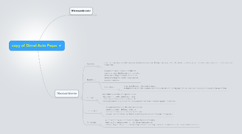 Mind Map: copy of Dirnel Auto Peças