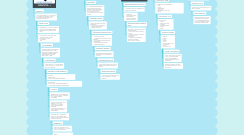 Mind Map: ESTRUCTURA ORGANIZACIONAL