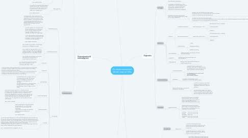 Mind Map: De ideale basisschool: Anoek, Inge en Hilke