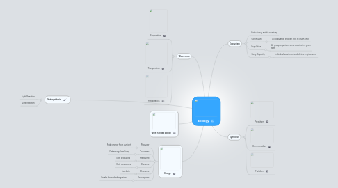 Mind Map: Ecology