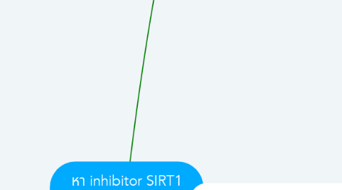 Mind Map: หา inhibitor SIRT1 โดยวิธีทางคอมพิวเตอร์