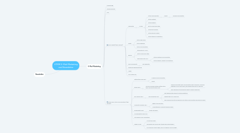 Mind Map: VTMM E-Mail-Marketing und Newsletter