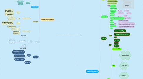 Mind Map: การพยาบาลผู้ป่วยเด็กที่มีปัญหาระบบทางเดินปัสสาวะ