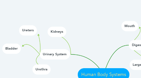 Mind Map: Human Body Systems