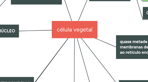 Mind Map: célula vegetal