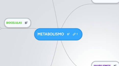 Mind Map: METABOLISMO