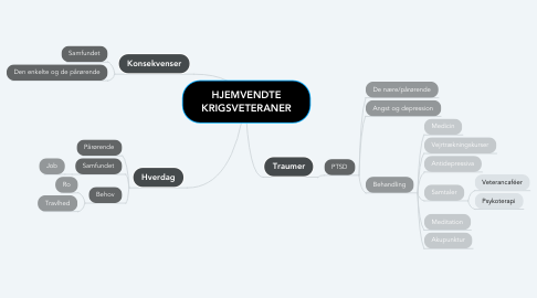 Mind Map: HJEMVENDTE KRIGSVETERANER