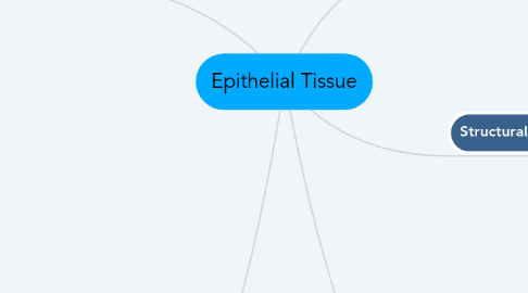 Mind Map: Epithelial Tissue