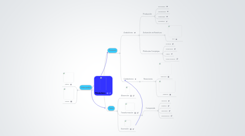 Mind Map: Metabolismo