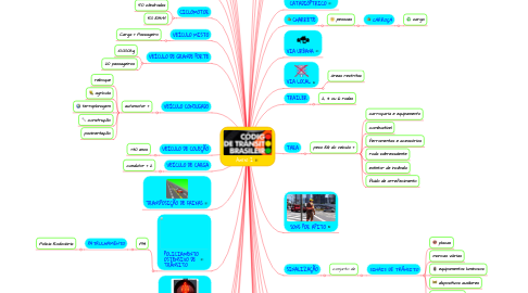 Mind Map: Anexo I