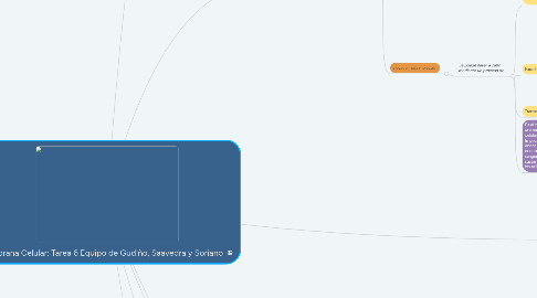 Mind Map: Membrana Celular: Tarea 6 Equipo de Gudiño, Saavedra y Soriano