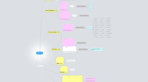 Mind Map: Lesson 2 - Liz