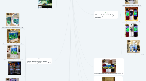Mind Map: Cửa hàng bán bể cá, hồ cá, bể cá cảnh, hồ cá cảnh: [Cửa hàng] Bán Bể Cá Cảnh đẹp và độc đáo tư vấn phong thủy miễn phí