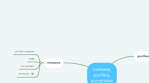 Mind Map: metazoa, porifera, eumetazoa