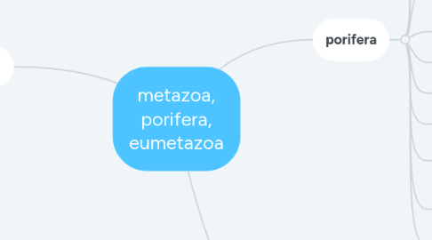 Mind Map: metazoa, porifera, eumetazoa