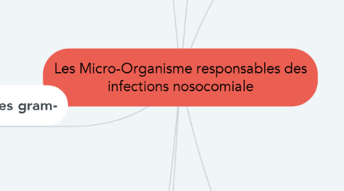 Mind Map: Les Micro-Organisme responsables des infections nosocomiale