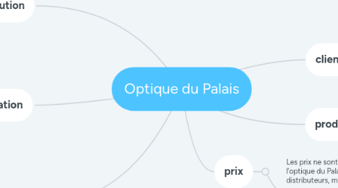 Mind Map: Optique du Palais