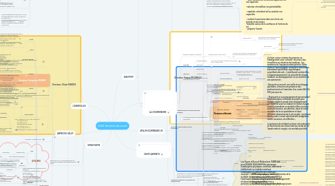 Mind Map: ESAT territoire du Loiret