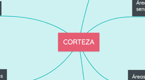 Mind Map: CORTEZA