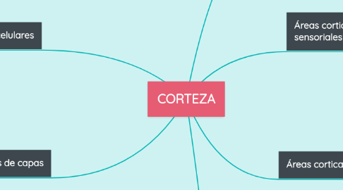 Mind Map: CORTEZA